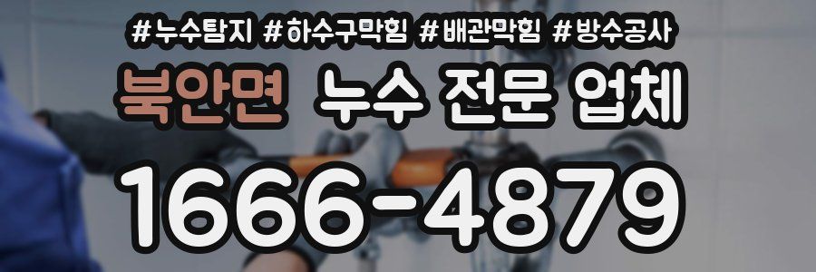 북안면 누수 전문 업체