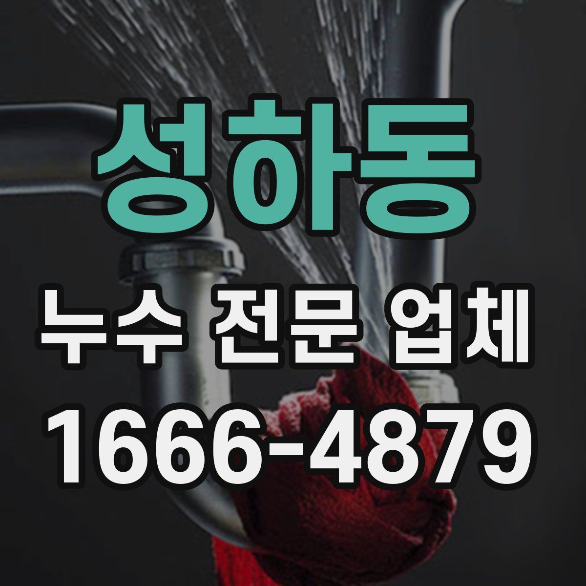 성하동 누수 전문 업체