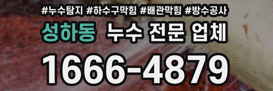 성하동 누수 전문 업체