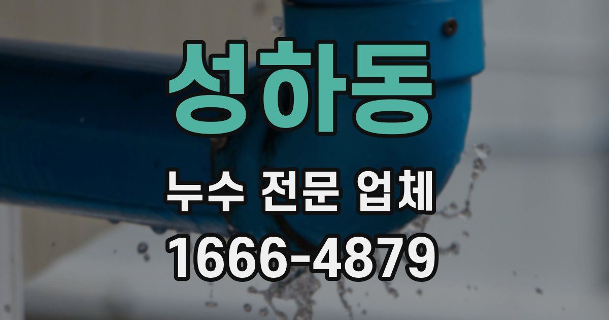 성하동 누수 전문 업체