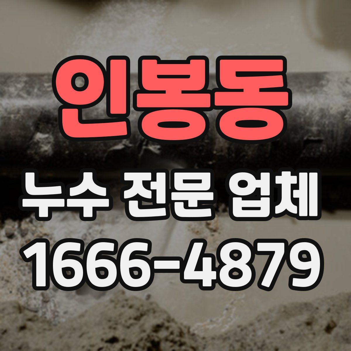인봉동 누수 전문 업체