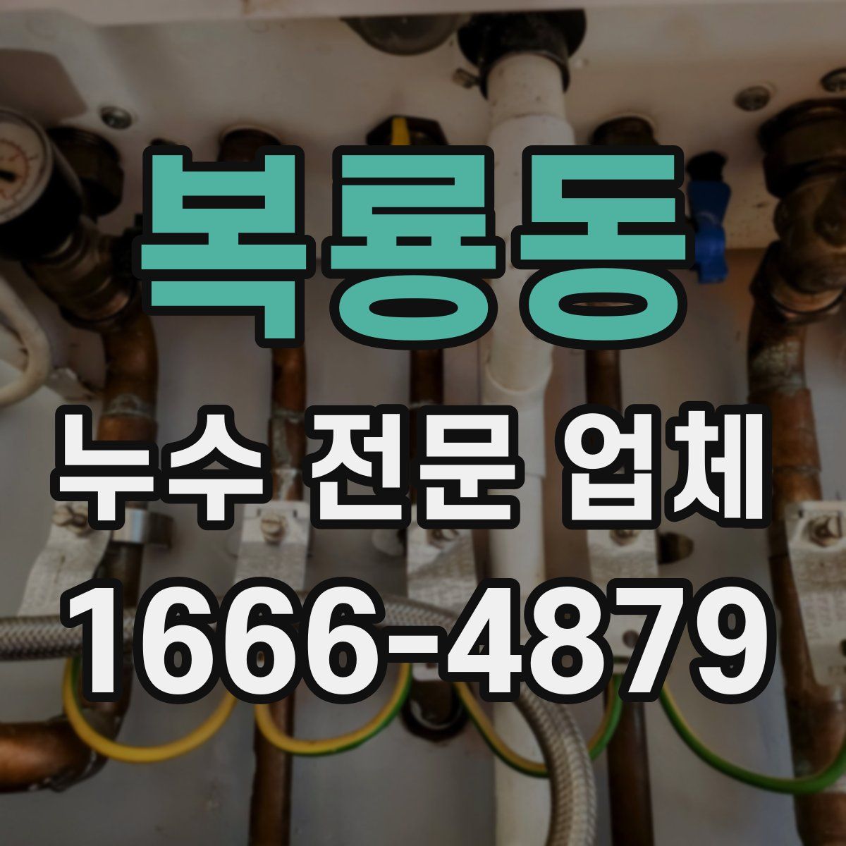 복룡동 누수 전문 업체