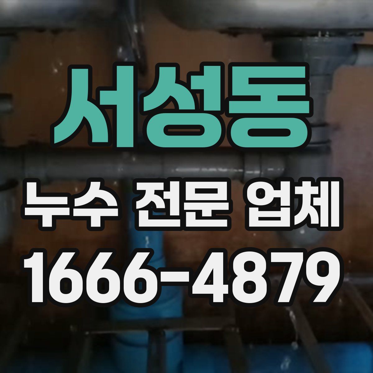 서성동 누수 전문 업체