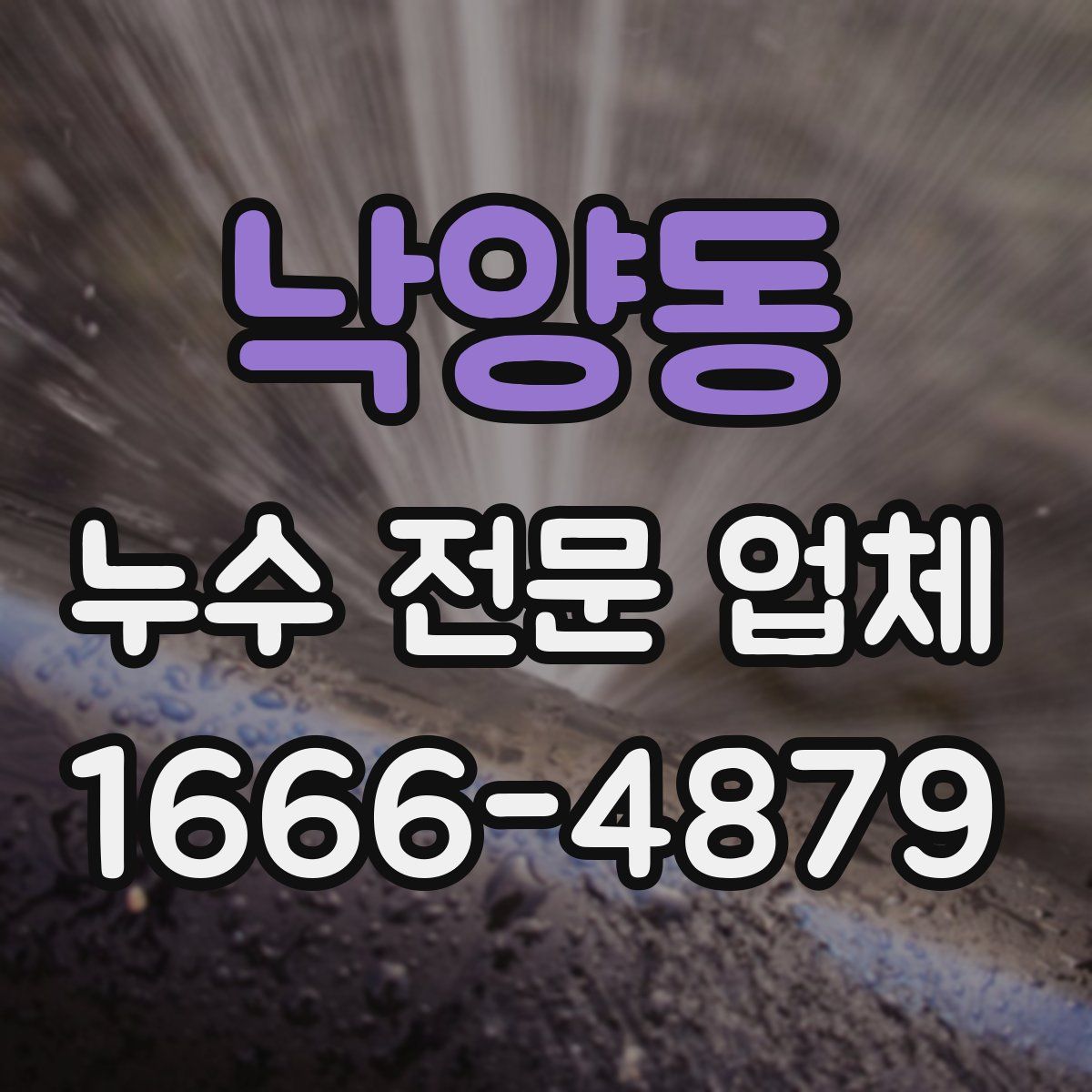낙양동 누수 전문 업체