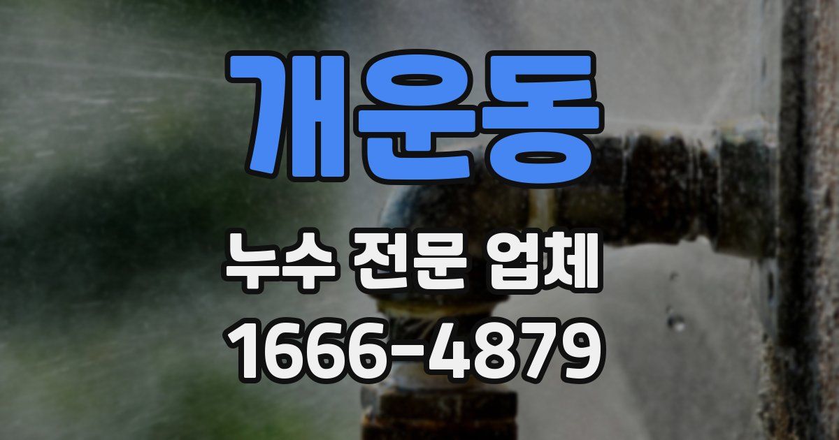 개운동 누수 전문 업체