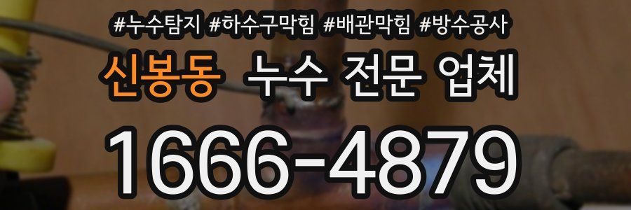 신봉동 누수 전문 업체