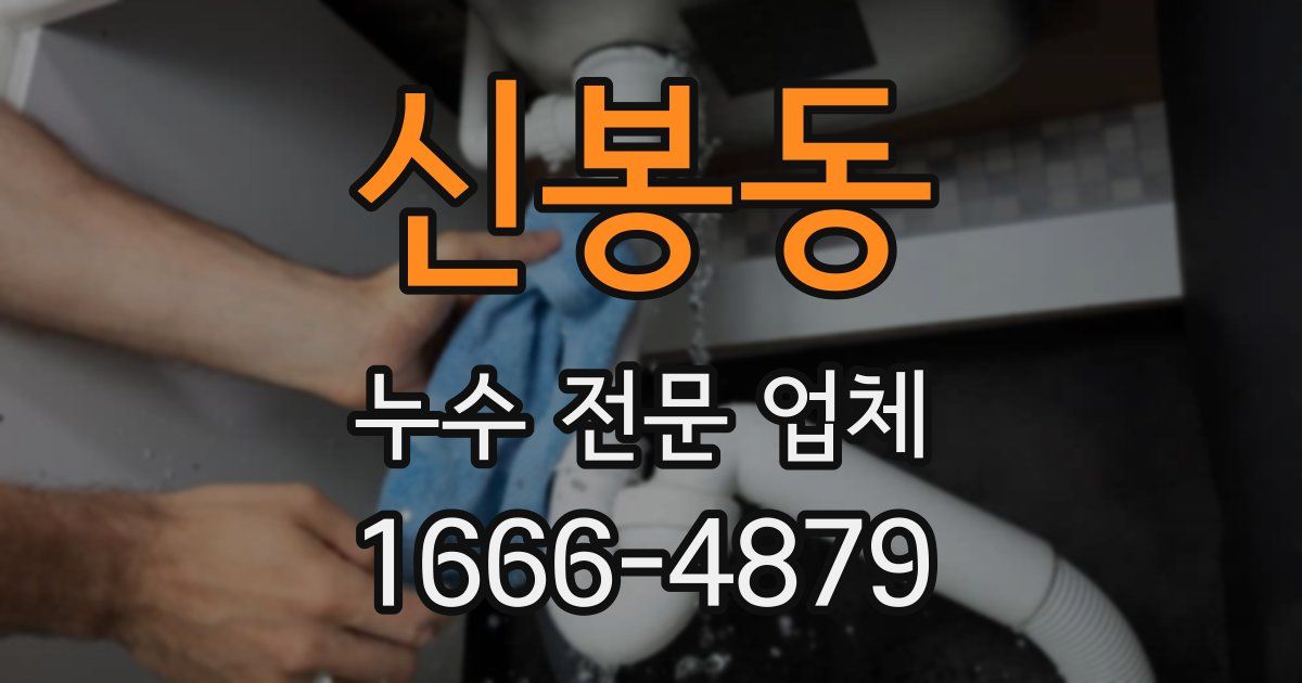 신봉동 누수 전문 업체