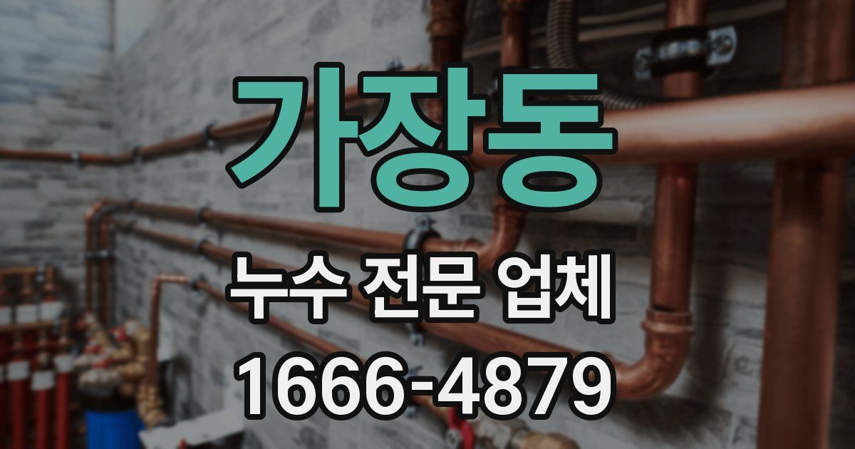 가장동 누수 전문 업체