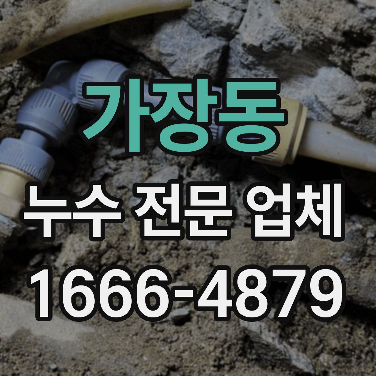 가장동 누수 전문 업체