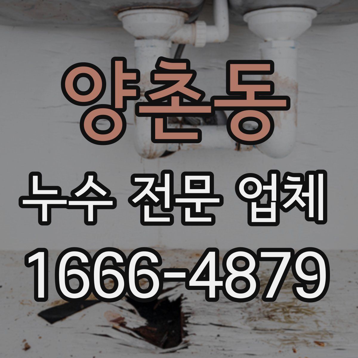 양촌동 누수 전문 업체