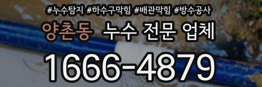 양촌동 누수 전문 업체