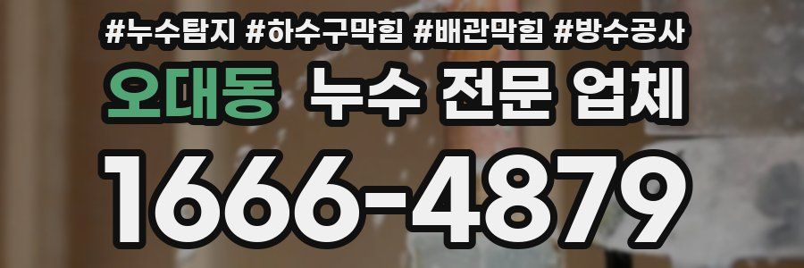 오대동 누수 전문 업체