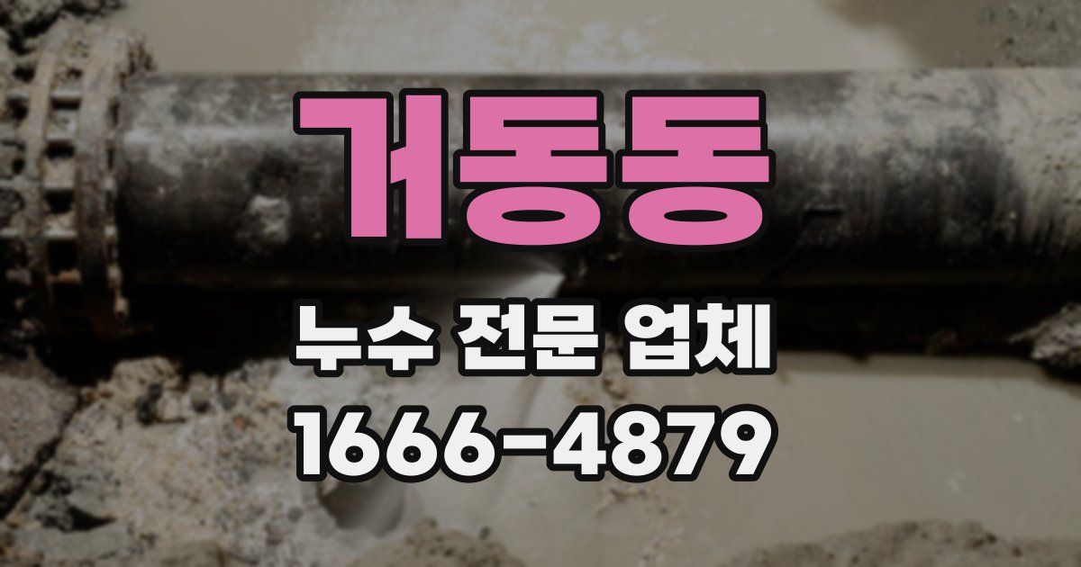 거동동 누수 전문 업체