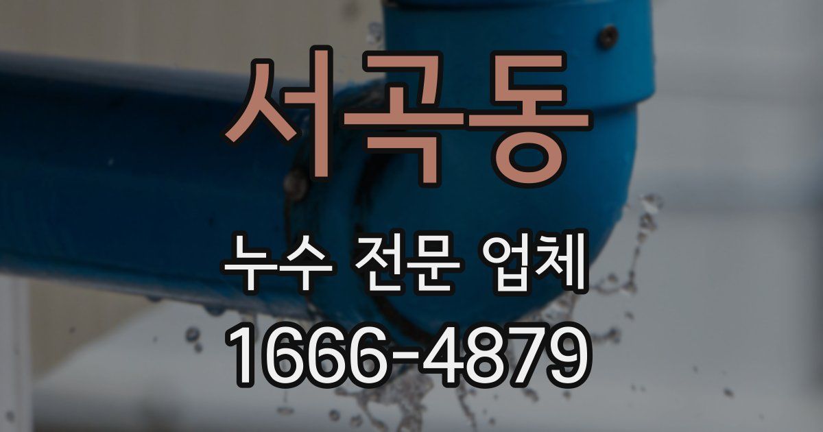 서곡동 누수 전문 업체