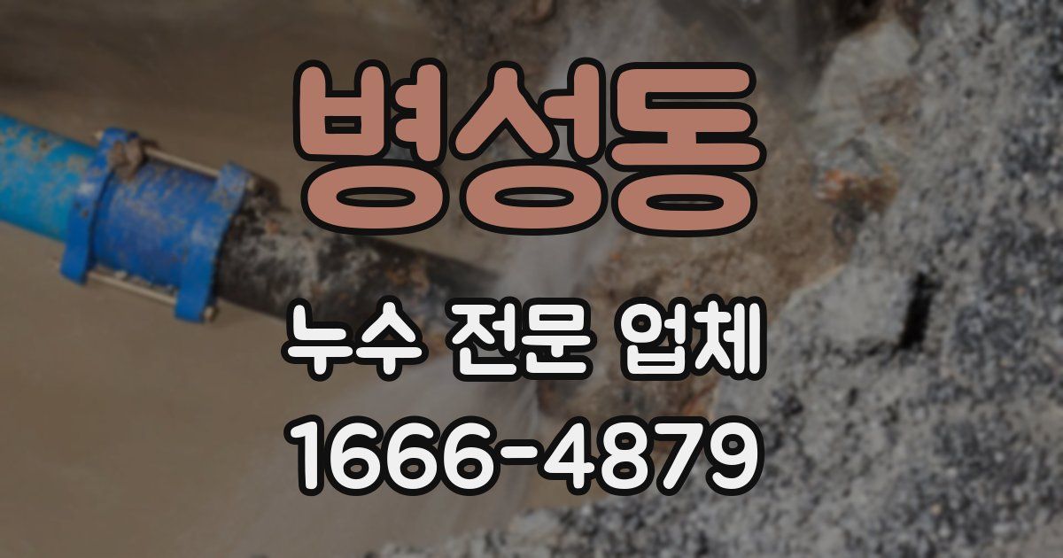 병성동 누수 전문 업체
