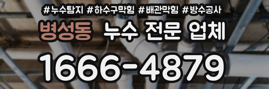 병성동 누수 전문 업체