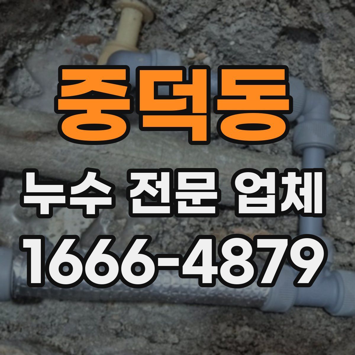 중덕동 누수 전문 업체