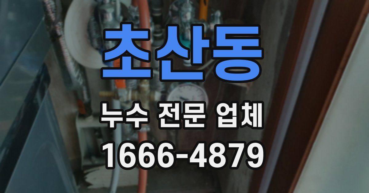 초산동 누수 전문 업체