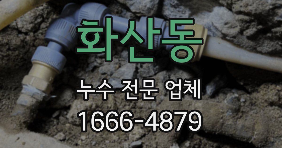 화산동 누수 전문 업체