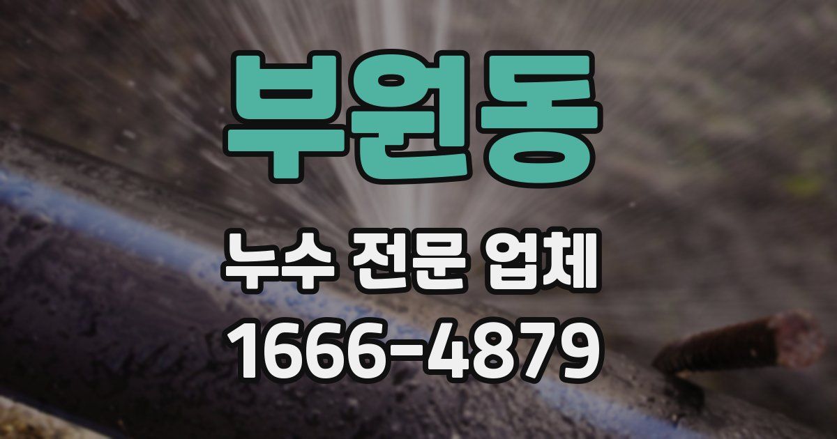 부원동 누수 전문 업체