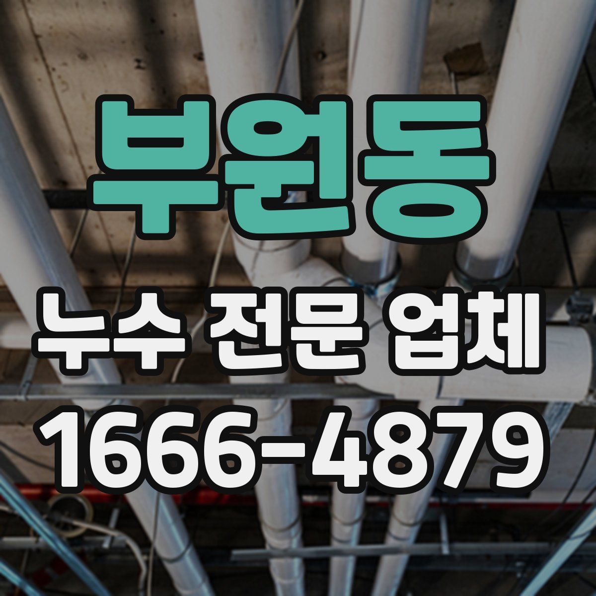 부원동 누수 전문 업체