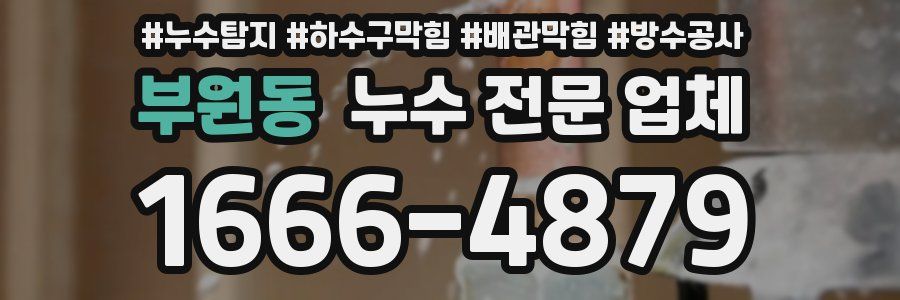 부원동 누수 전문 업체