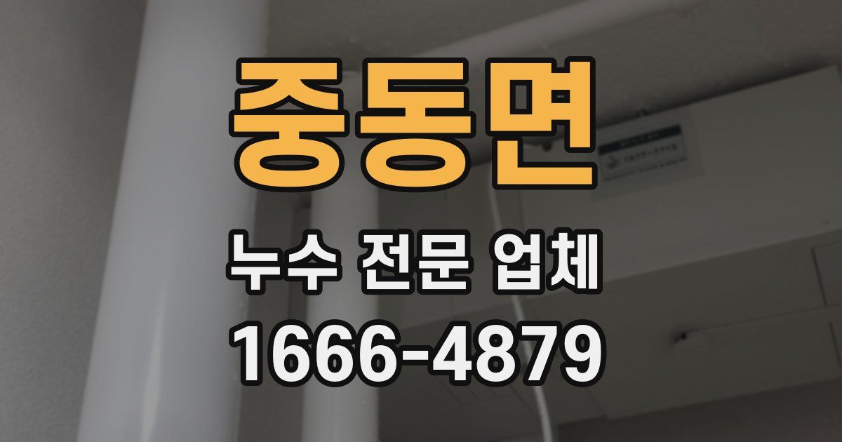 중동면 누수 전문 업체