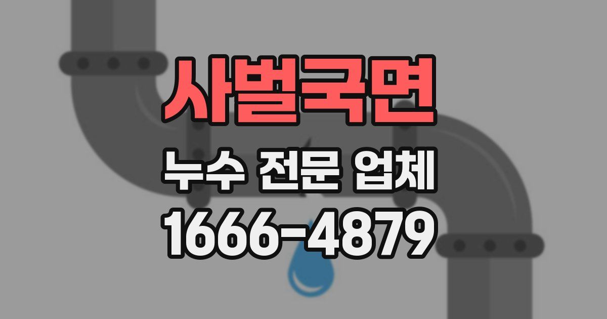 사벌국면 누수 전문 업체