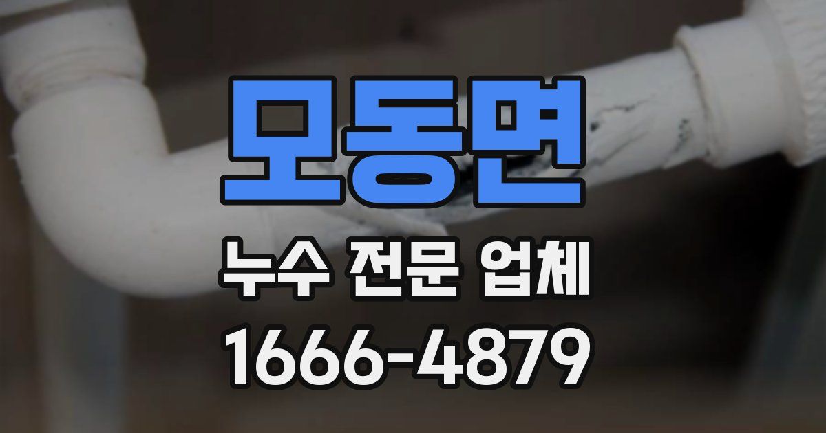 모동면 누수 전문 업체