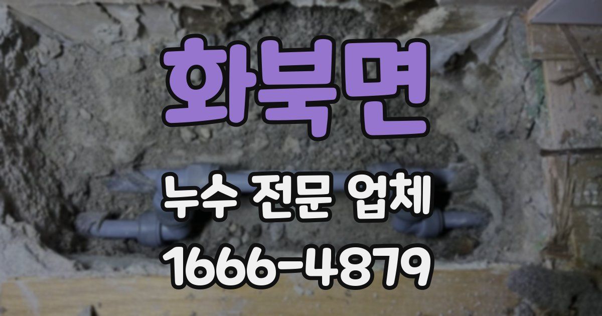 화북면 누수 전문 업체