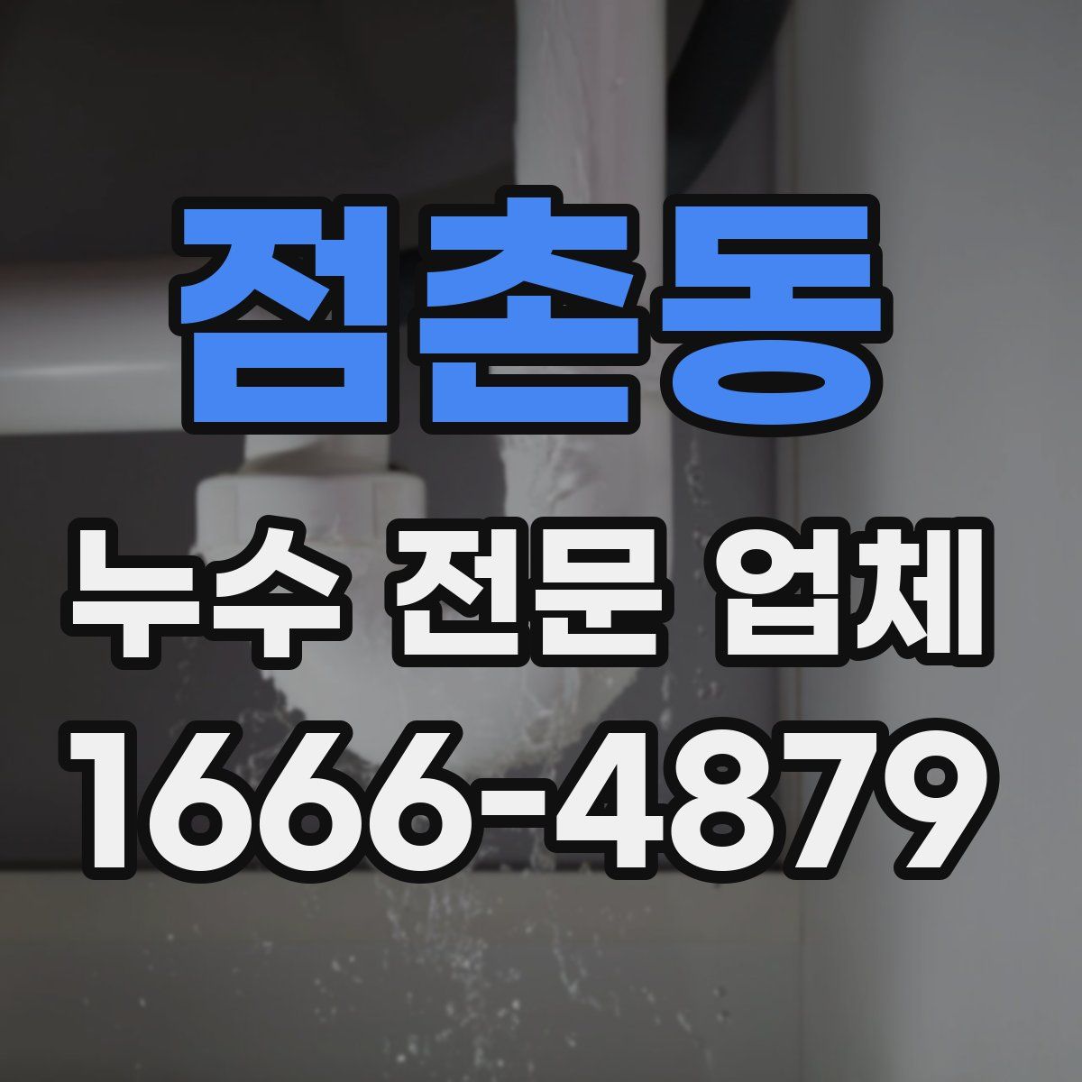 점촌동 누수 전문 업체