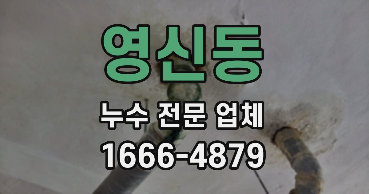 영신동 누수 전문 업체