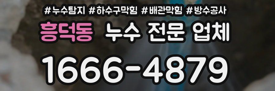 흥덕동 누수 전문 업체