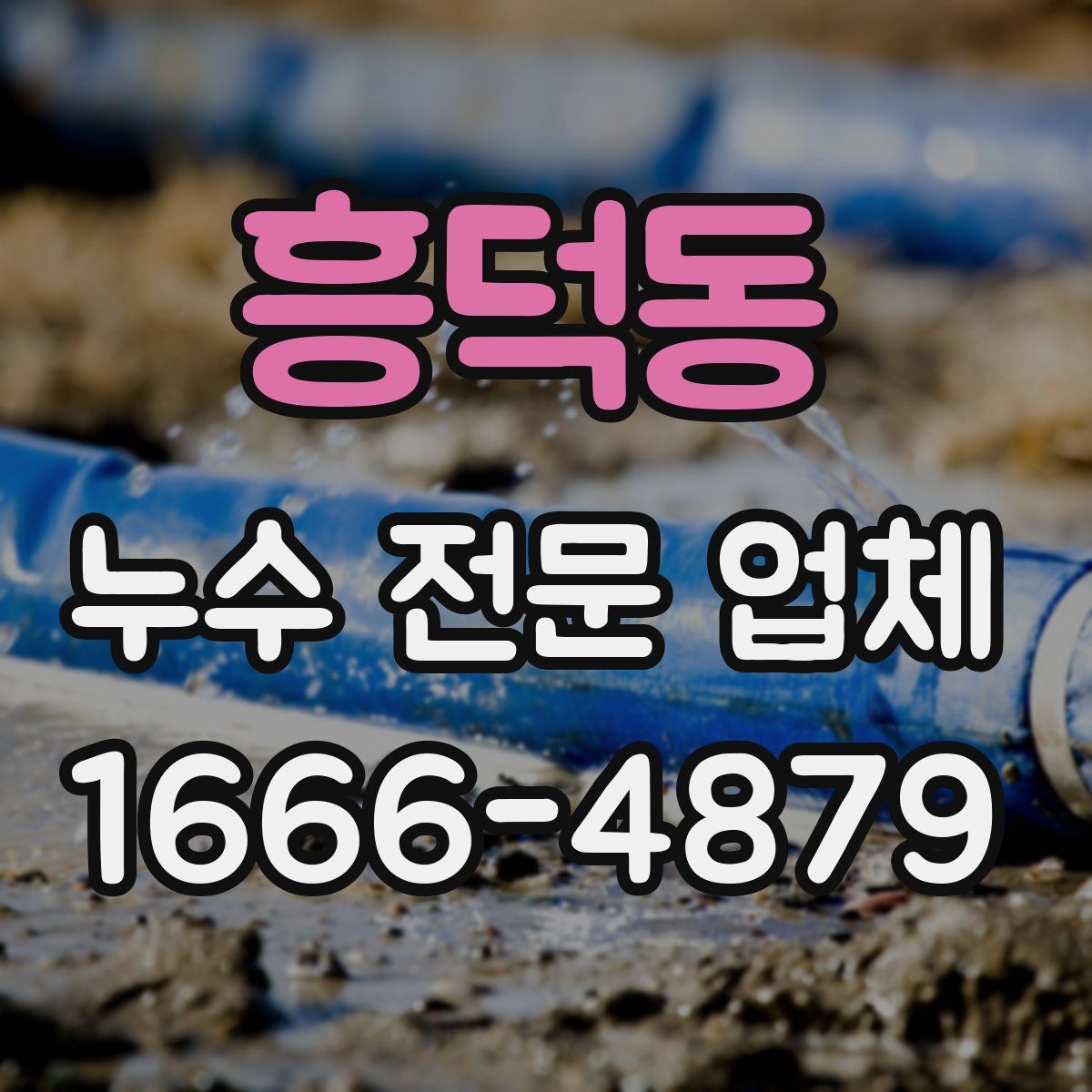 흥덕동 누수 전문 업체