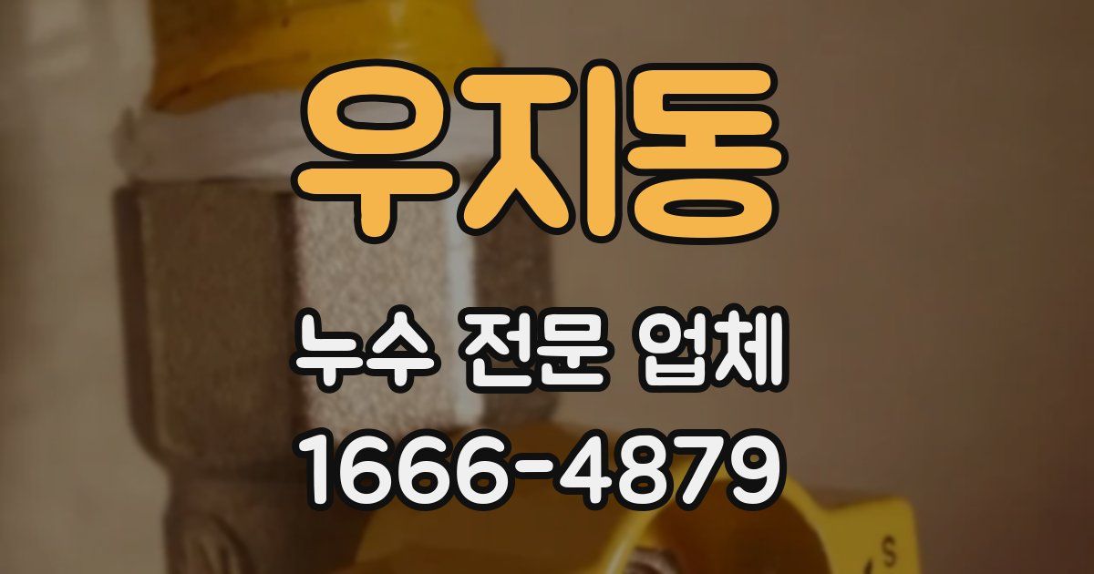 우지동 누수 전문 업체