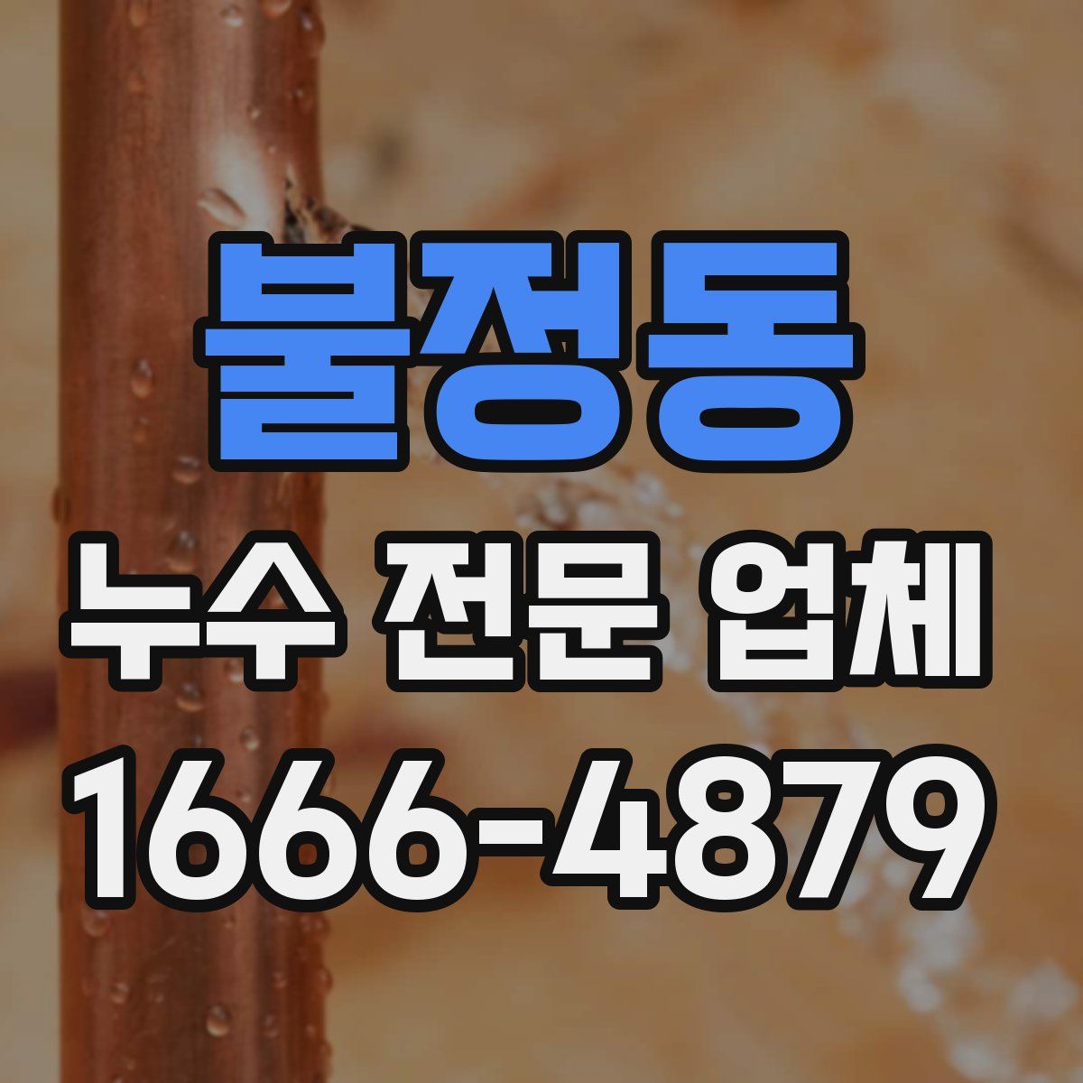 불정동 누수 전문 업체