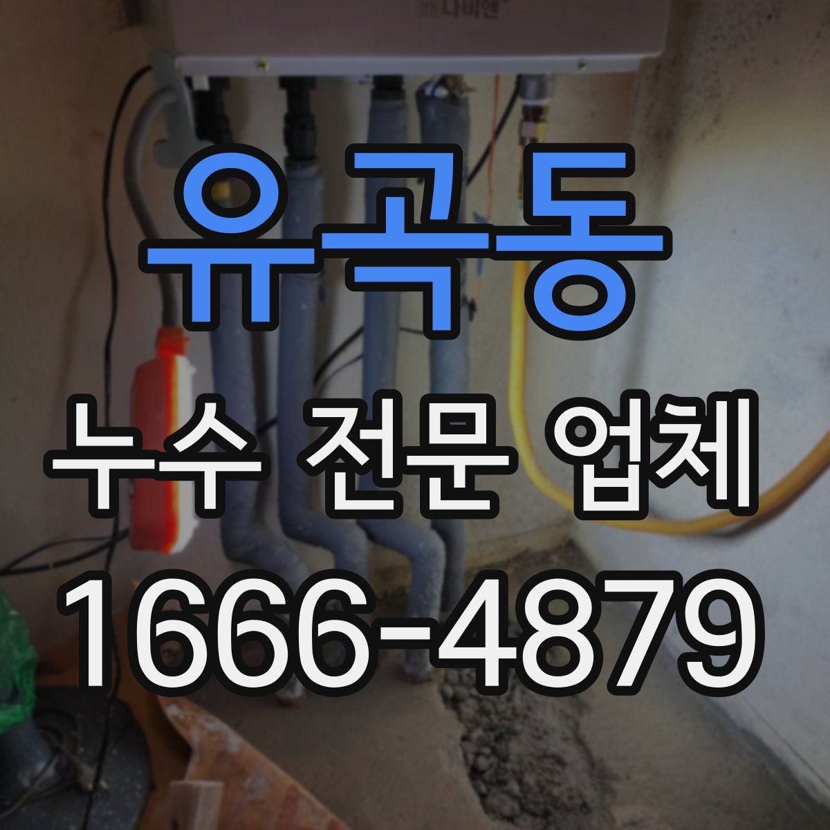 유곡동 누수 전문 업체