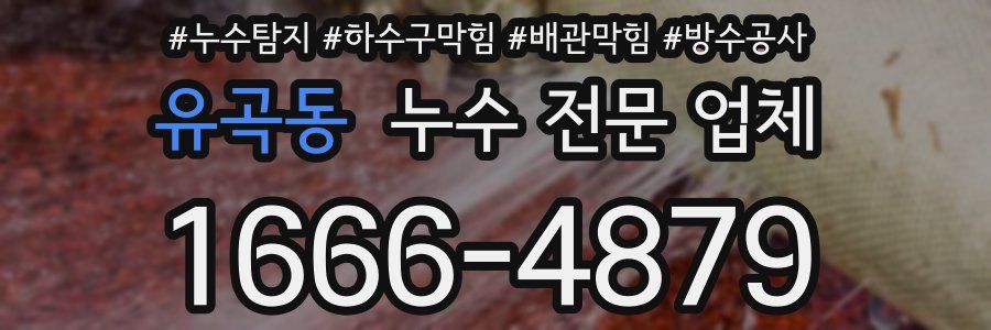 유곡동 누수 전문 업체