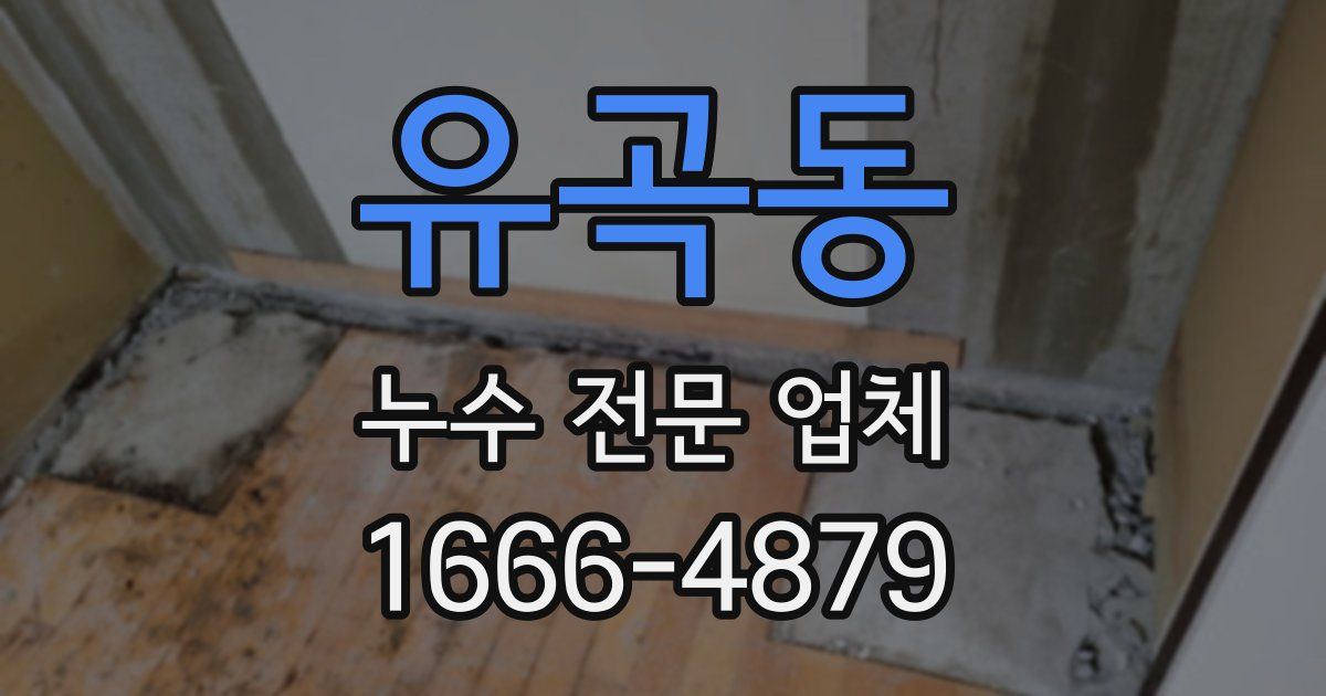 유곡동 누수 전문 업체
