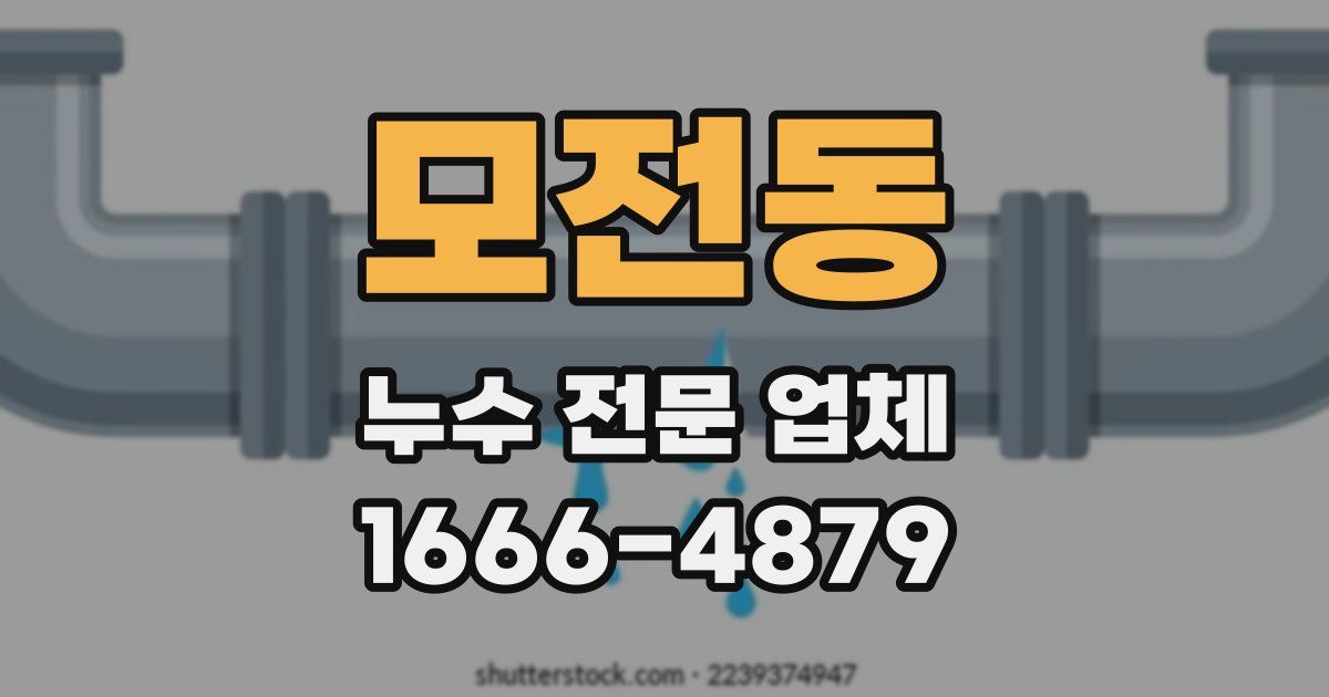모전동 누수 전문 업체