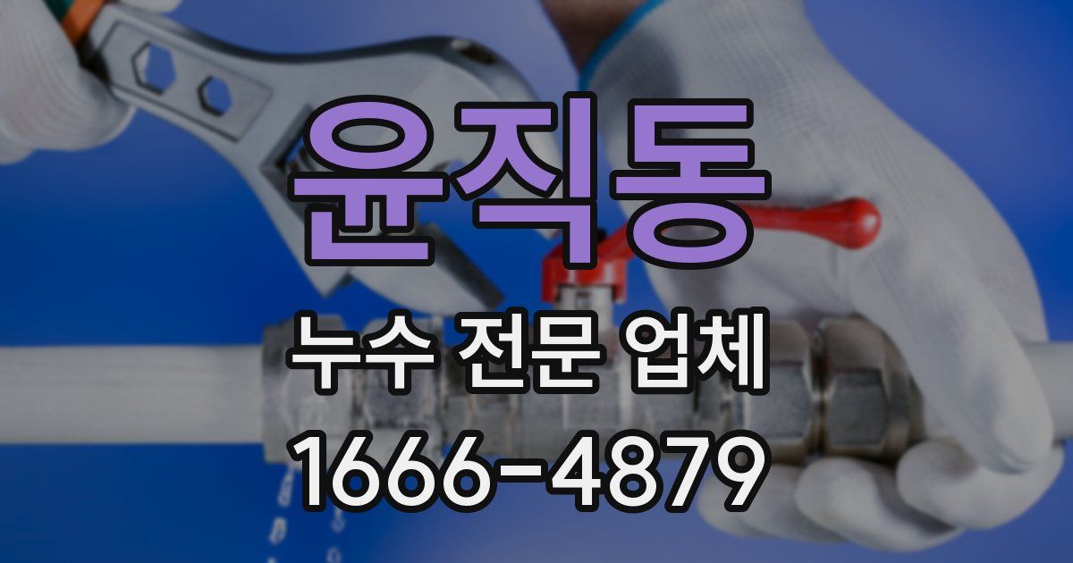 윤직동 누수 전문 업체