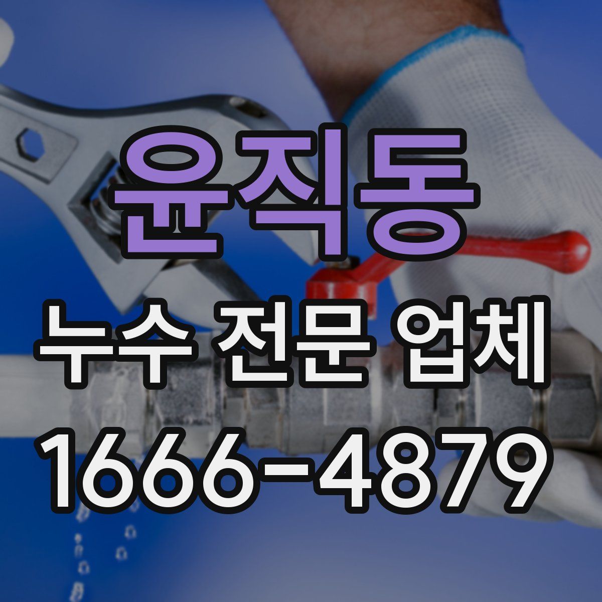 윤직동 누수 전문 업체