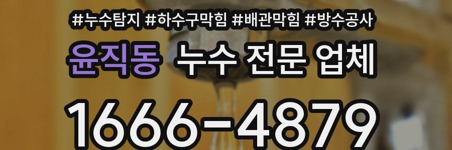 윤직동 누수 전문 업체