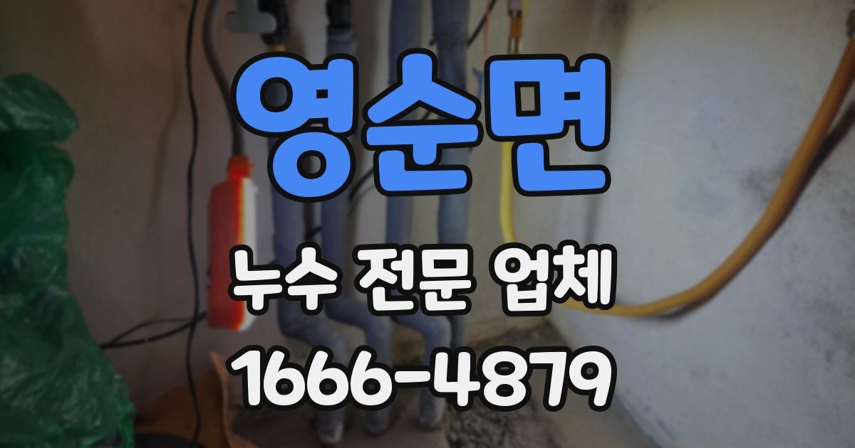 영순면 누수 전문 업체
