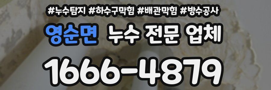 영순면 누수 전문 업체