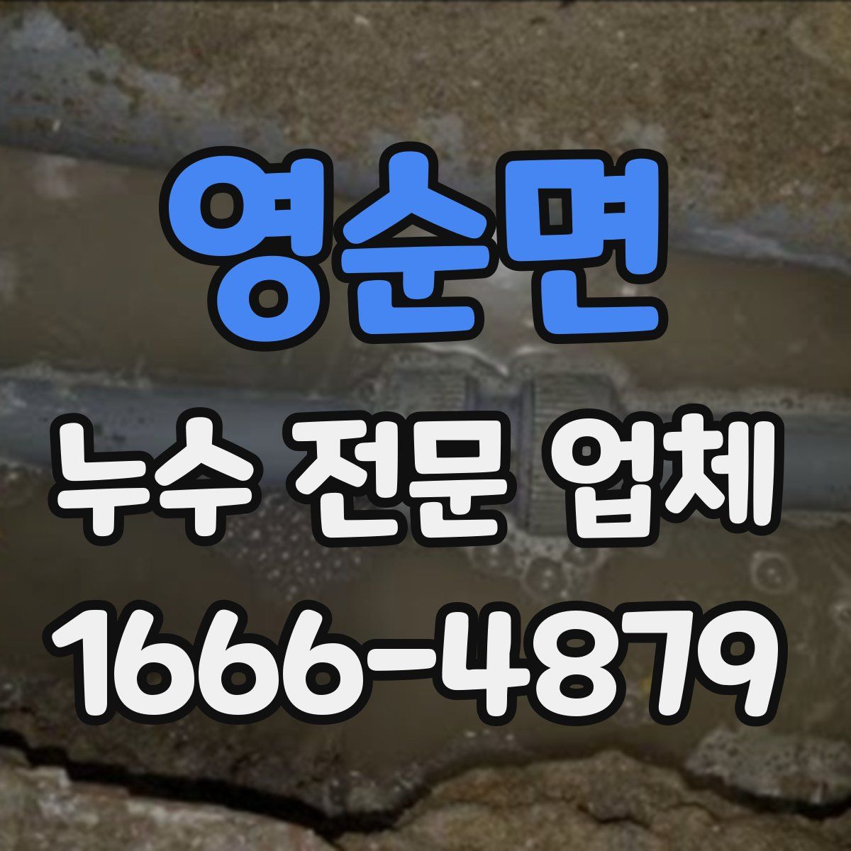 영순면 누수 전문 업체