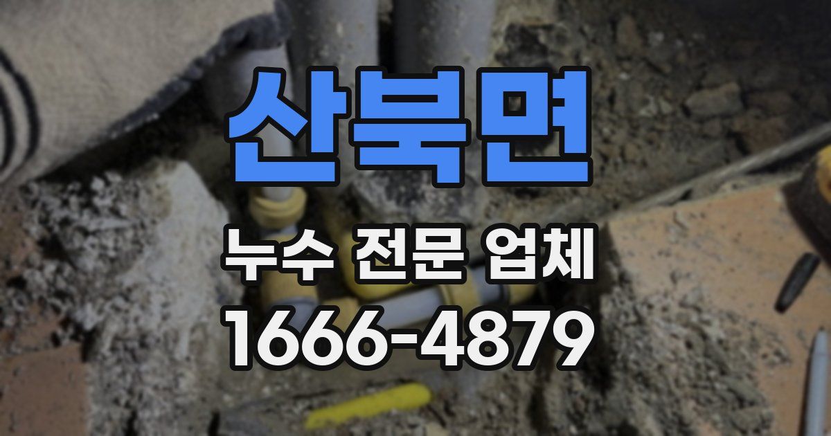 산북면 누수 전문 업체