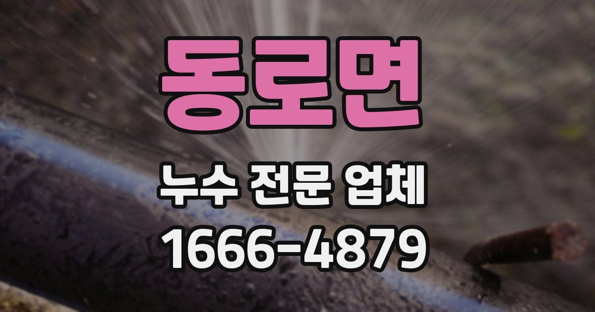 동로면 누수 전문 업체