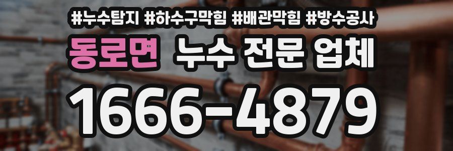 동로면 누수 전문 업체