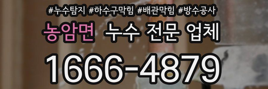 농암면 누수 전문 업체